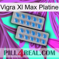 Vigra Xl Max Platinum 23